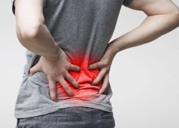 A melhor planta para dores renais e saúde da próstata