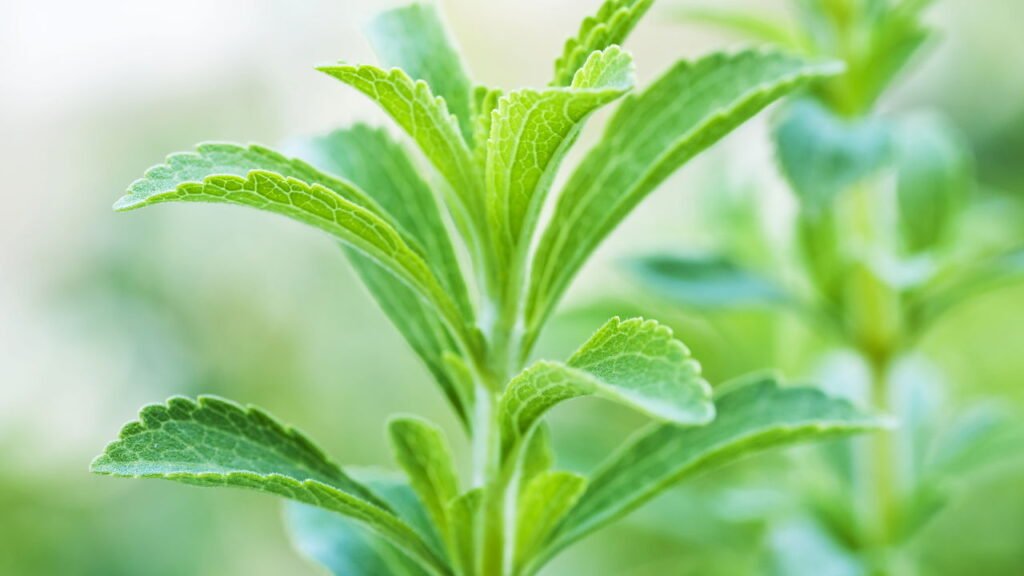 Substitua o açúcar esses alimentos naturais e não perca o sabor e nem a saúde