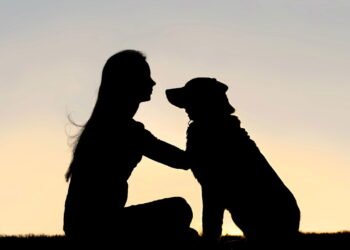 O que a psicologia diz sobre o hábito de acariciar cães na rua