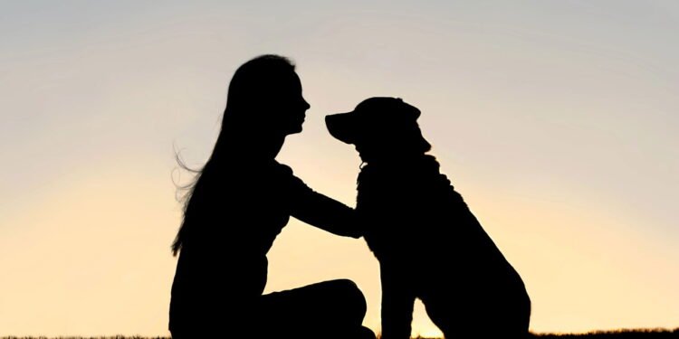 O que a psicologia diz sobre o hábito de acariciar cães na rua