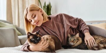O poder secreto dos gatos para melhorar sua saúde emocional