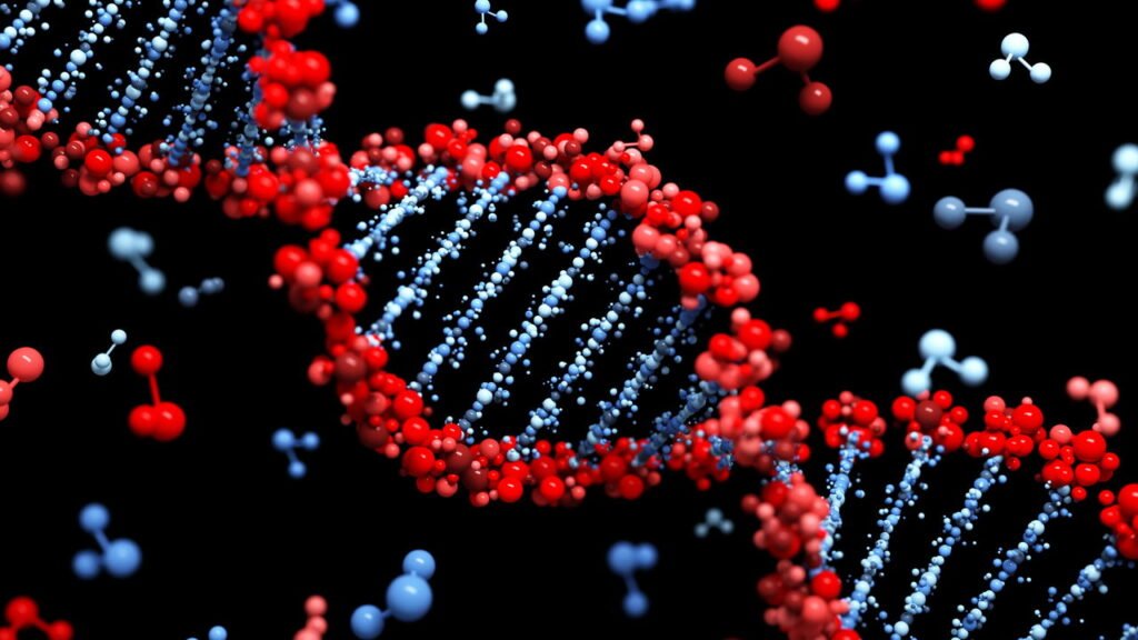 Esse rebanho de vacas abandonadas sobreviveram sozinhas por mais de um século