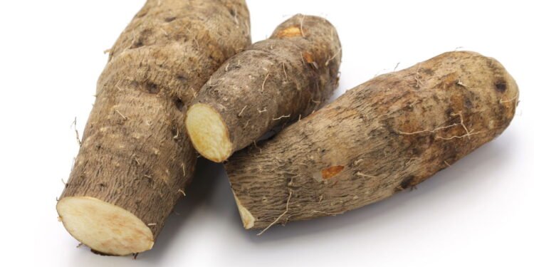 Benefícios e cuidados que você deve ter com o inhame