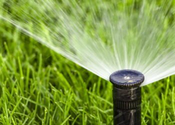 Reduza seu consumo de água com esse sistema de irrigação automática