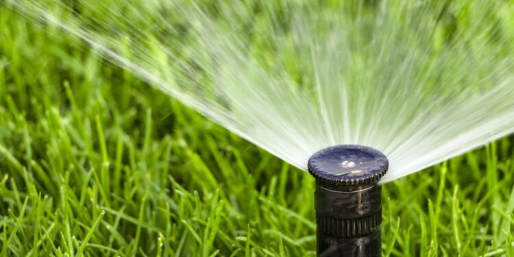 Reduza seu consumo de água com esse sistema de irrigação automática