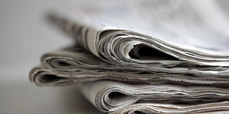 Jornal velho pode virar adubo e melhorar suas plantas