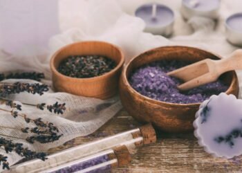 Cultivar lavanda em casa potencializa relaxamento e promete noites de sono melhores