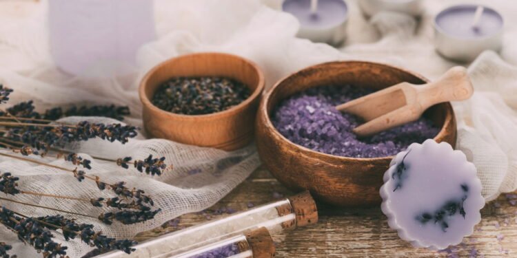 Cultivar lavanda em casa potencializa relaxamento e promete noites de sono melhores