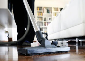 O repelente natural que está espantando baratas das casas