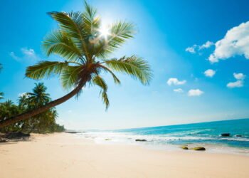 Viajar para o litoral pode ser muito mais do que só curtir a praia