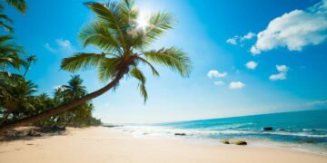 Viajar para o litoral pode ser muito mais do que só curtir a praia