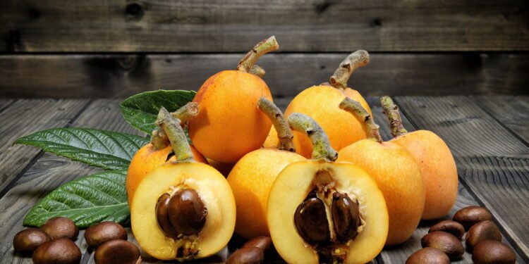 Nêspera - Créditos: depositphotos.com / francescomoufotografo