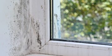 Dicas para evitar mofo em armários e gavetas em casa