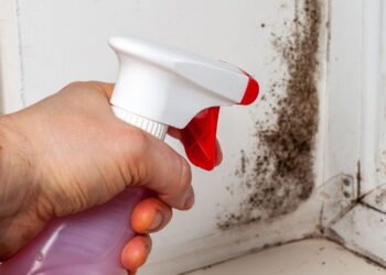 A presença de mofo exige ação imediata