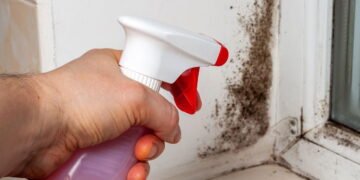 A presença de mofo exige ação imediata