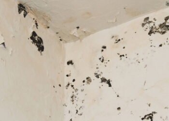 A estratégia que vai transformar seu banheiro e eliminar o mofo ao mínimo