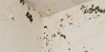 A estratégia que vai transformar seu banheiro e eliminar o mofo ao mínimo