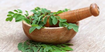 Como cultivar moringa em casa e aproveitar seus benefícios para a saúde