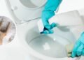 O truque com sal que mantém seu vaso sanitário limpo e sem mau cheiro
