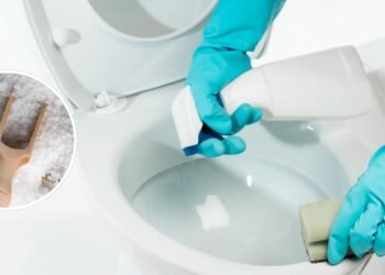 O truque com sal que mantém seu vaso sanitário limpo e sem mau cheiro