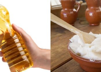 Conheças as diferenças nutricionais entre o óleo e a banha de porco e qual escolher