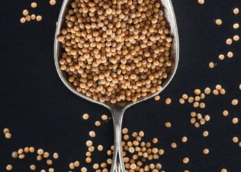 Como a mostarda ajuda contra dor nas juntas e ossos