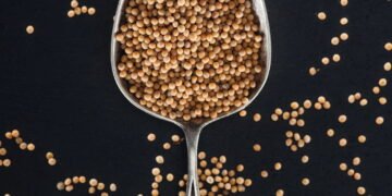 Como a mostarda ajuda contra dor nas juntas e ossos