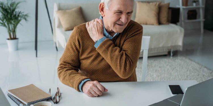 O sistema esquelético humano, essencial para o suporte e a mobilidade - Créditos: depositphotos.com / NatashaFedorova