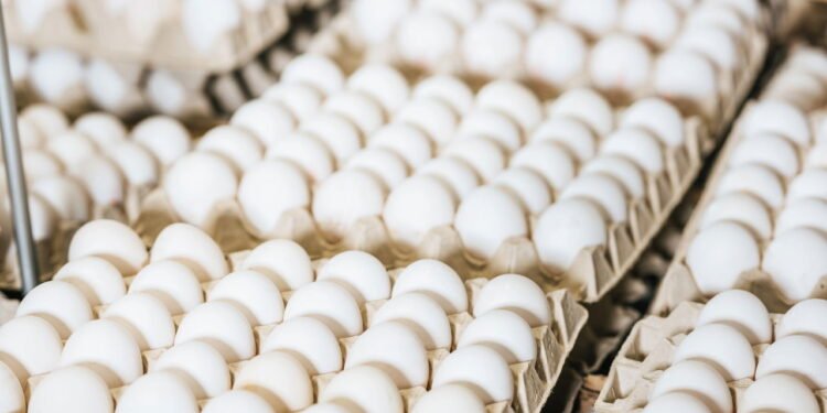 Melhor maneira de fritar ovo - Créditos: depositphotos.com / IgorVetushko