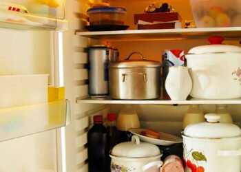 Guardar comida na geladeira o erro que estraga tudo