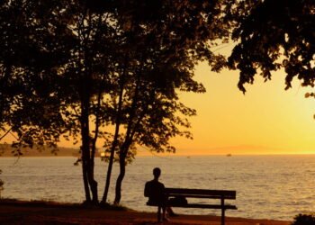 Nova lei endurece punições para abandono de idosos e pessoas com deficiência