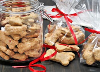 Como fazer petiscos caseiros e acessíveis para seu cachorro