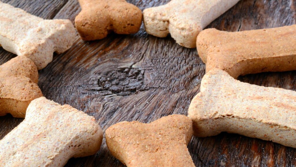 Como fazer petiscos caseiros e acessíveis para seu cachorro