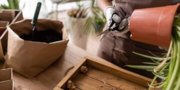 Como usar papel kraft para manter suas plantas sempre saudáveis