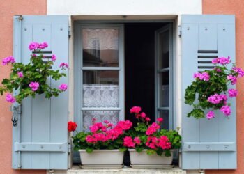 As 3 plantas que deixam qualquer fachada de casa mais elegante