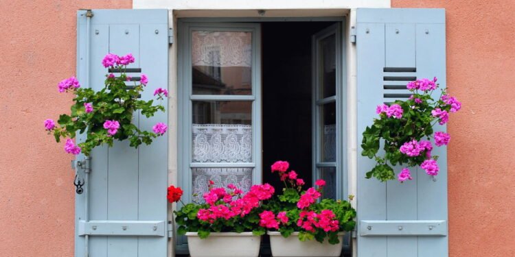 Plantas na entrada de casa - Créditos: depositphotos.com / velirina