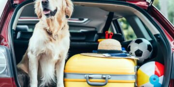 Carros seminovos econômicos, modernos e com porta-malas espaçosos