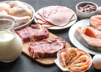 Quantas gramas de proteína você deve consumir por dia para manter a saúde?