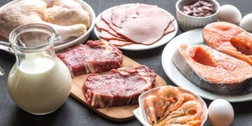 Quantas gramas de proteína você deve consumir por dia para manter a saúde?