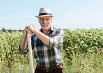 O dilema da previdência que já afeta centenas de cidades brasileiras