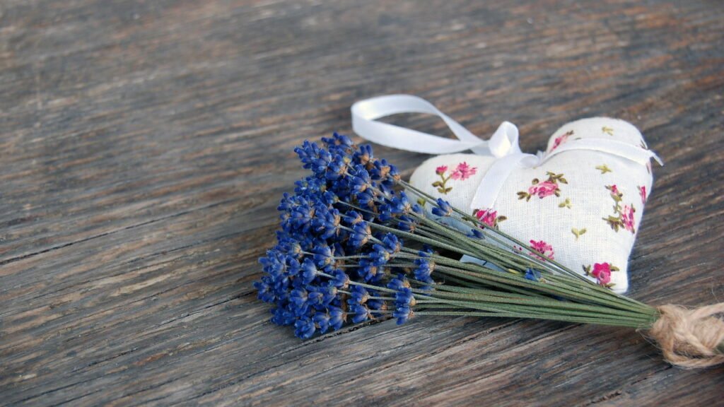 Proteja suas roupas contra traças utilizando somente um sachê