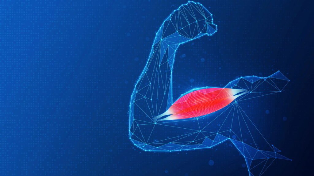 Como prevenir a perda de massa muscular depois dos 40 anos