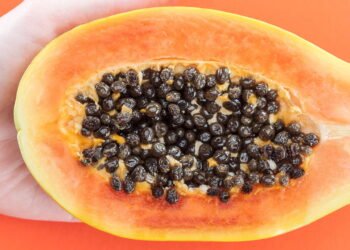 As sementes de mamão podem ajudar a regenerar seu fígado