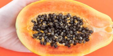 As sementes de mamão podem ajudar a regenerar seu fígado