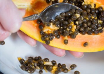 Aprenda a plantar mamão na sua casa e aproveite todos os seus benefícios