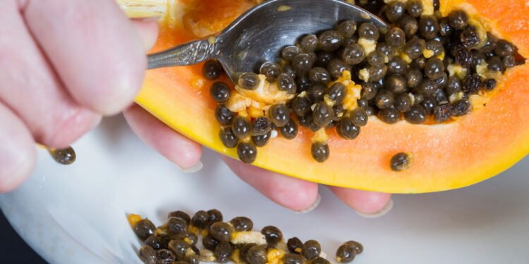 Aprenda a plantar mamão na sua casa e aproveite todos os seus benefícios