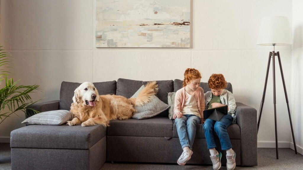 Hábitos que acabam com o sofá