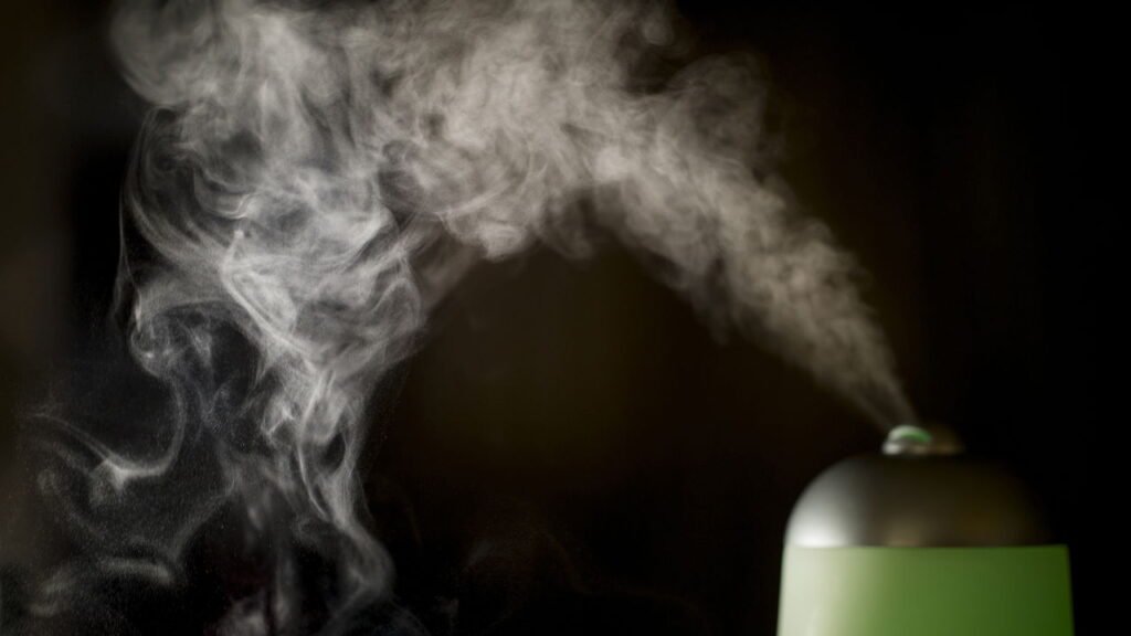 Como cultivar eucalipto e usar seus vapores para aliviar a respiração