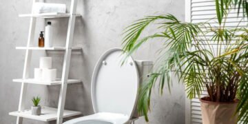 Se o seu vaso sanitário fica no banheiro, esta regra de higiene muda tudo