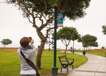 Essa cidade do Nordeste surpreende com internet grátis para todos